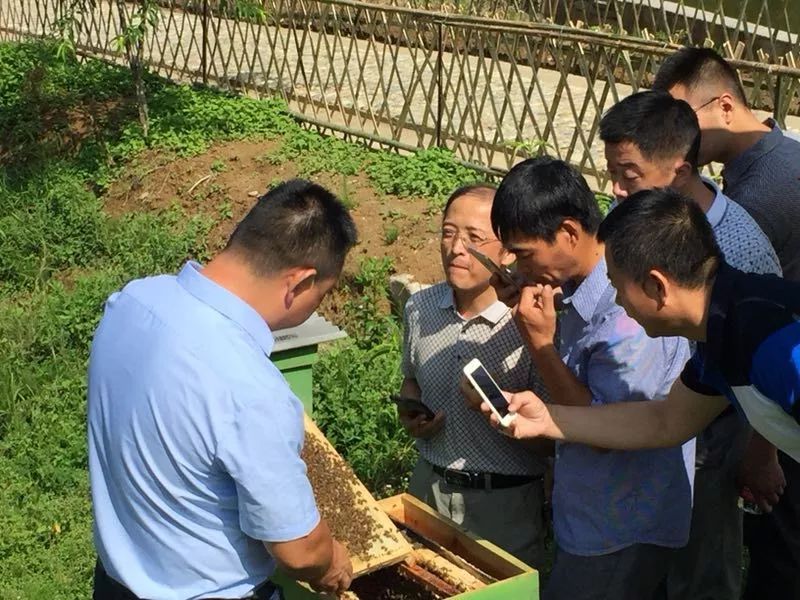 西北养殖业_西北养殖致富_西北养殖业什么最赚钱农村