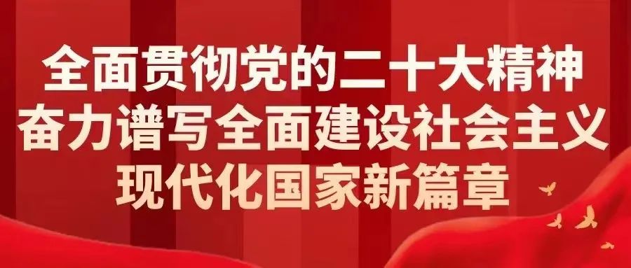 【新时代致富带头人】严虎：播种期盼，收获喜悦