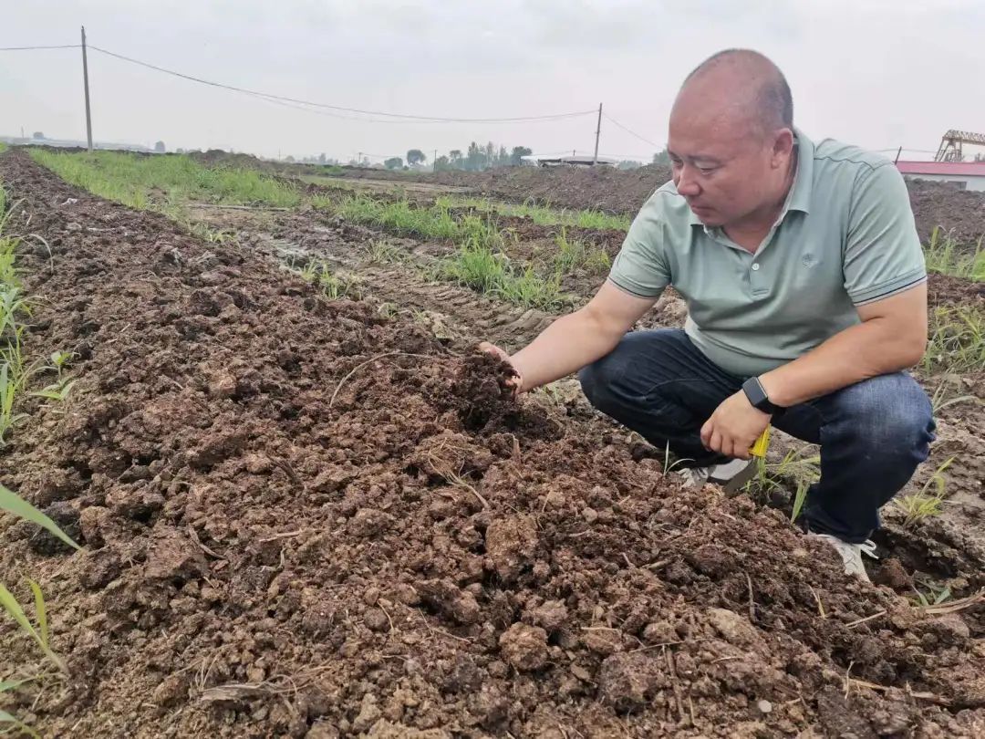 红蚯蚓养殖利润_蚯蚓养殖技术视频教程_红蚯蚓养殖技术视频