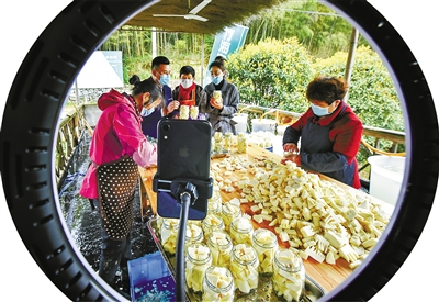 致富经八竹笋种植技术_致富笋竹种植技术与管理_竹笋种植前景如何