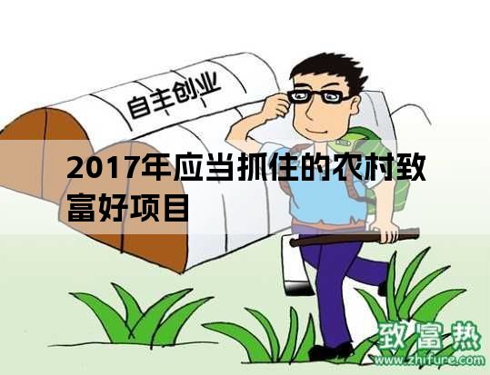 2017年应当抓住的农村致富好项目