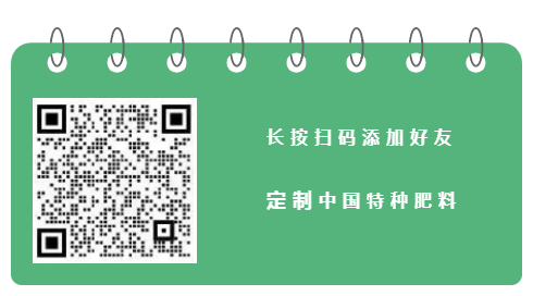 香瓜种植技术与管理法视频_种植香瓜的技术和管理_香瓜种植技术与管理法