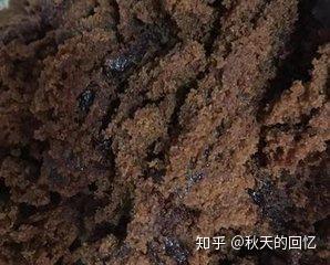 种羊肚菌地里加什么肥料_种植羊肚菌肚技术方法_羊肚菌种植走上致富路