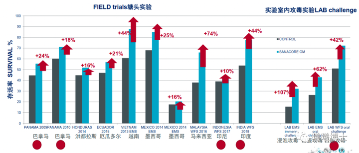 养殖健康罗非鱼技术要点_罗非鱼养殖条件_罗非鱼健康养殖技术