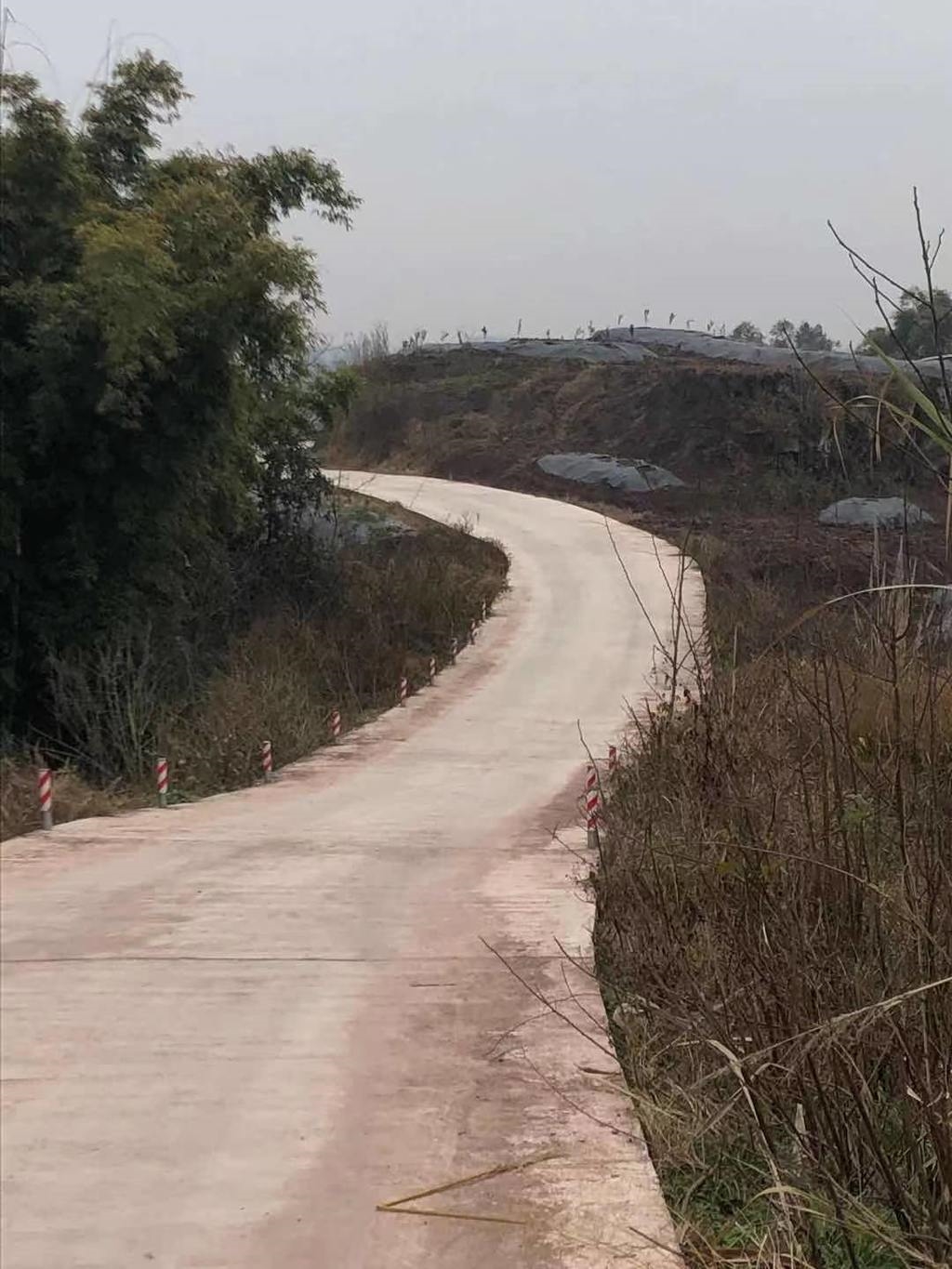 广安种植什么经济作物_广安农村种植致富_四川农村种植致富好项目