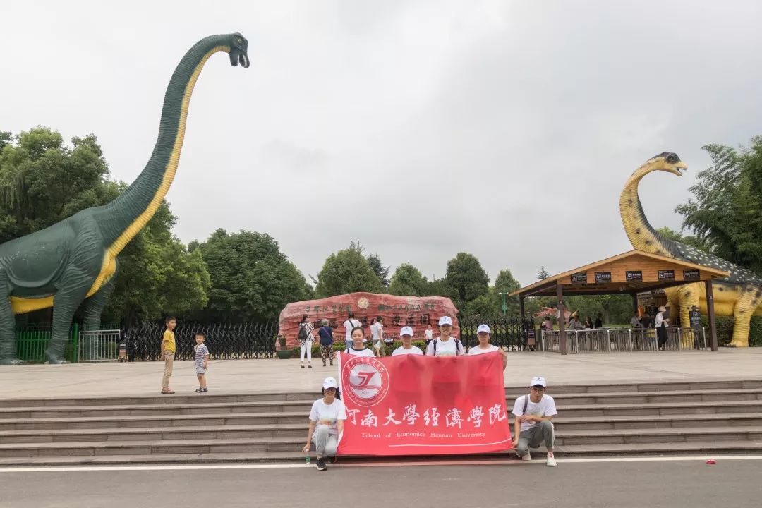 地黄种植专业合作社简介_种地养殖赚钱么_农业致富养殖地黄