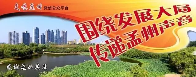 地黄种植专业合作社简介_农业致富养殖地黄_种地养殖赚钱么