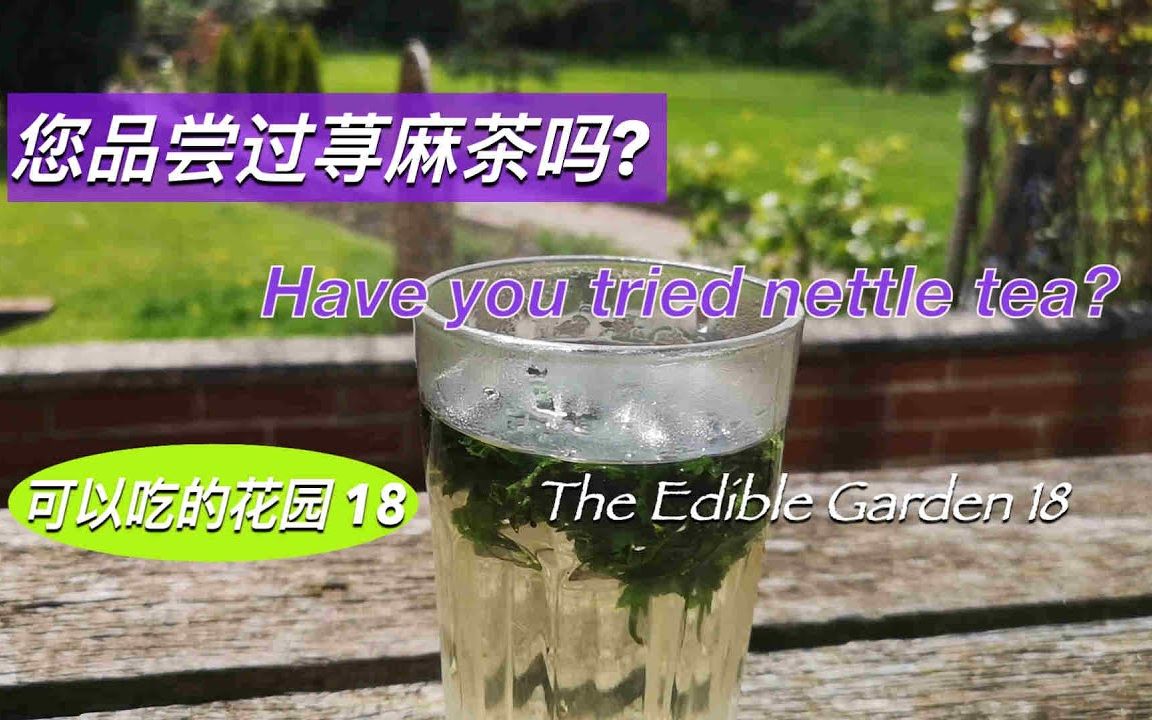 荨麻茶的功效(荨麻茶的6大功效，让你健康又美丽)