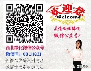 繁殖饲养基本知识_养殖繁育_繁殖有养殖技术