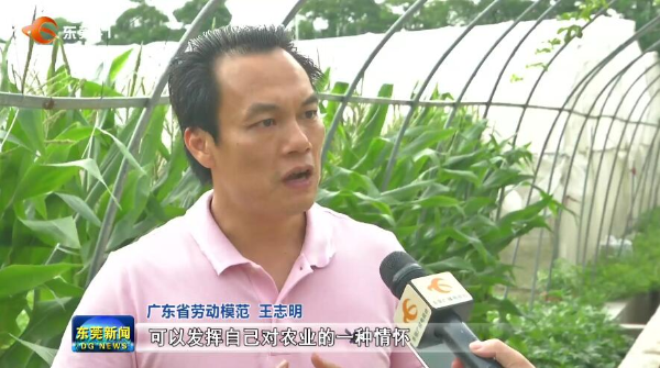 王志明：带动农民增收致富的“种菜专家”