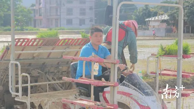 致富养牛牛人_养殖致富项目牛_牛大力种植致富