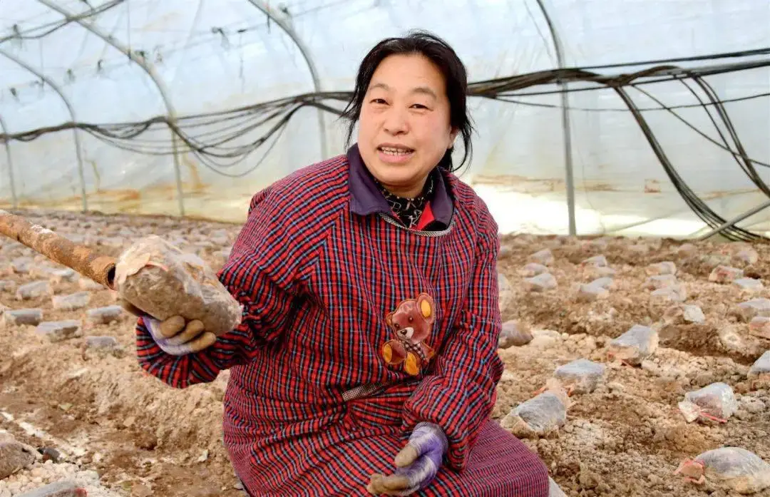 农村致富信息种植_致富种植农村信息简报_致富种植农村信息怎么写