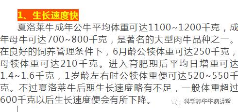 夏洛莱牛养殖视频_夏洛莱牛的养殖技术_夏洛莱牛生长速度