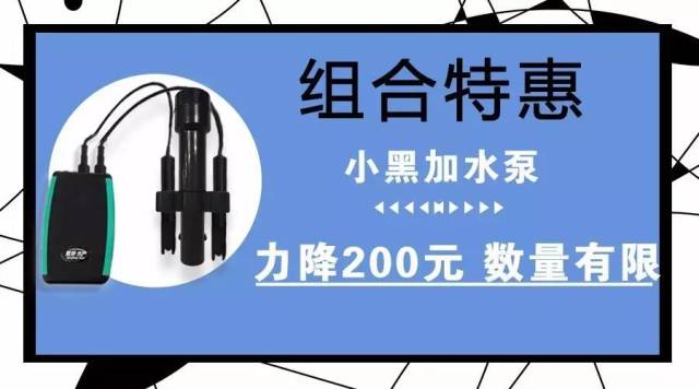 实例分析|黄鳝饲料选择及配方实例