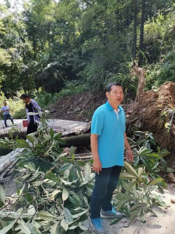 致富野猪养殖桑植图片_养野猪致富经_桑植养殖野猪致富