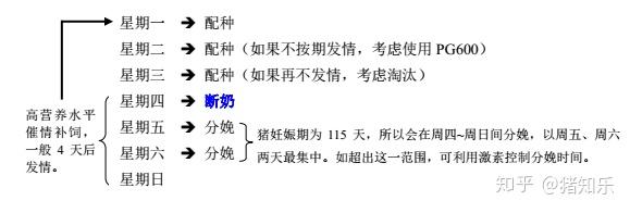 后备母猪养殖技术视频_后备母猪饲养管理视频_后备母猪饲养技术视频