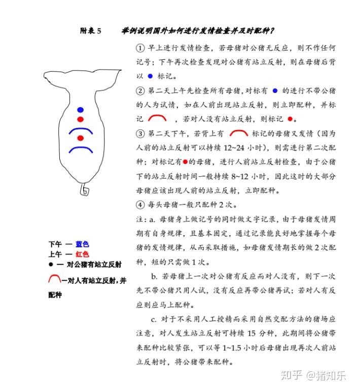 后备母猪饲养技术视频_后备母猪养殖技术视频_后备母猪饲养管理视频