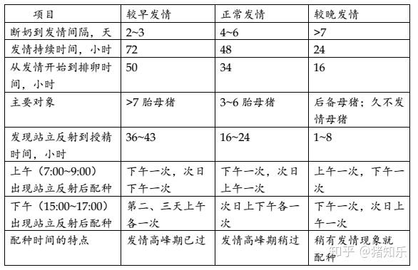 后备母猪养殖技术视频_后备母猪饲养技术视频_后备母猪饲养管理视频