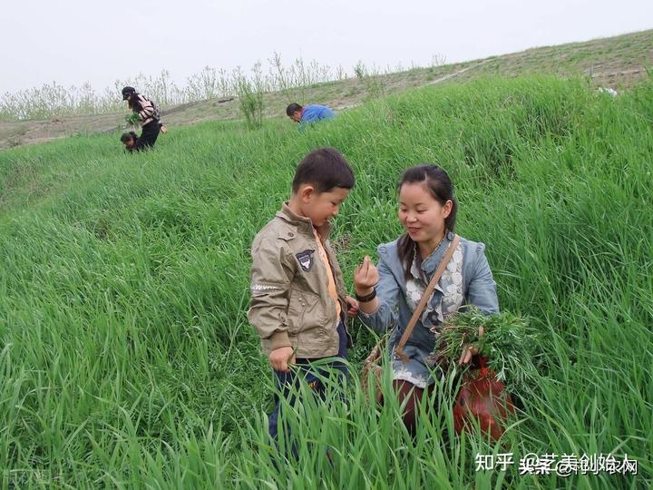 农业节目致富经种植视频_农村致富节目种植_致富经cctv7视频全集种植