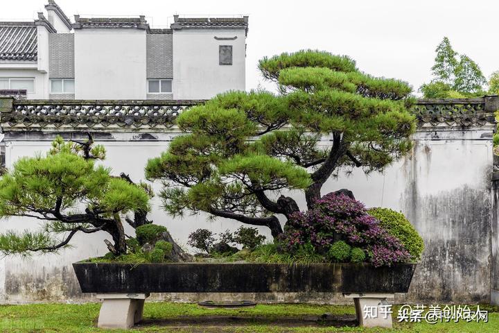 农业节目致富经种植视频_农村致富节目种植_致富经cctv7视频全集种植