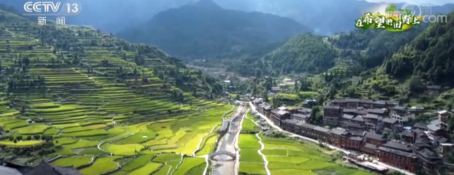 荒山致富项目_荒滩种植致富果_荒山种植果树