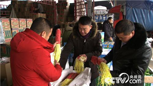 斑鸠养殖致富视频_农业致富视频_致富经王胜辉视频