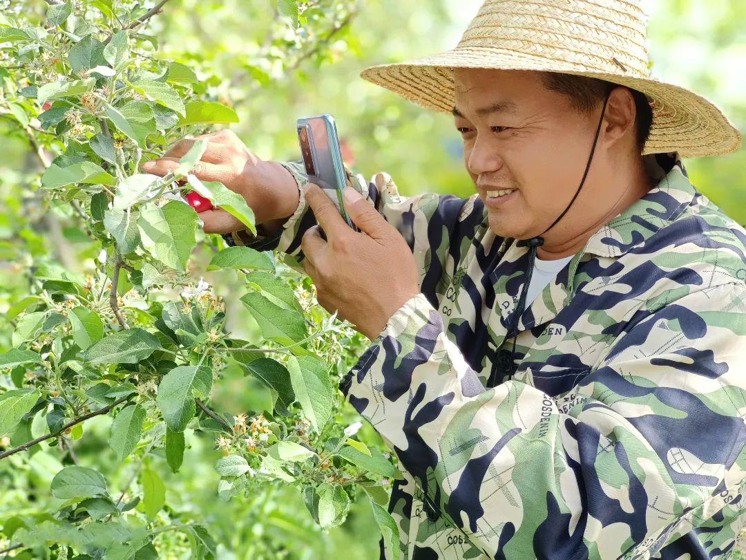 种树致富经_致富树种植_种植致富业