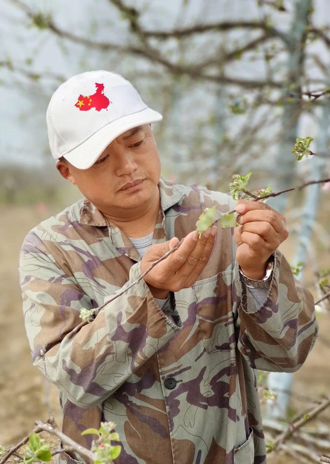 种树致富经_致富树种植_种植致富业