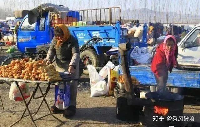 农村种植致富新项目_致富种植农村东西的句子_农村种植致富的东西