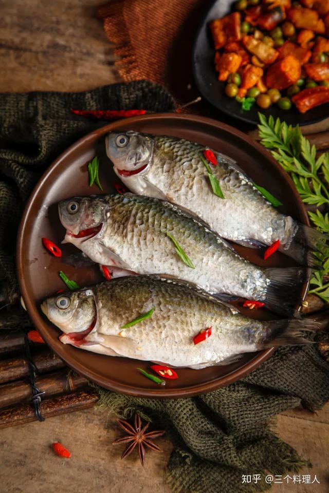 黄河鲫鱼用什么饵料好_黄河鲫好吗_豫选黄河鲫鱼养殖技术