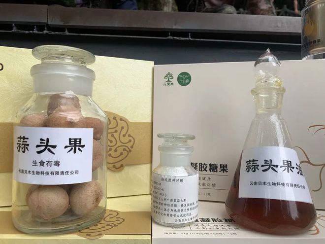 致富树种植_种树致富全部视频_致富经种树的创业项目