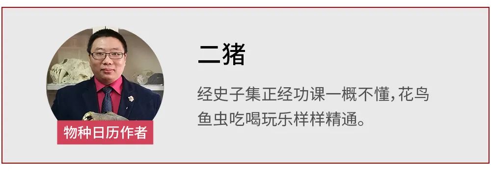 攀鲈养殖技术视频_致富经攀鲈鱼养殖视频_攀鲈养殖周期