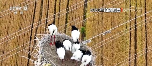 室内种植平菇视频_平菇温室大棚的建造_平菇温室种植技术视频