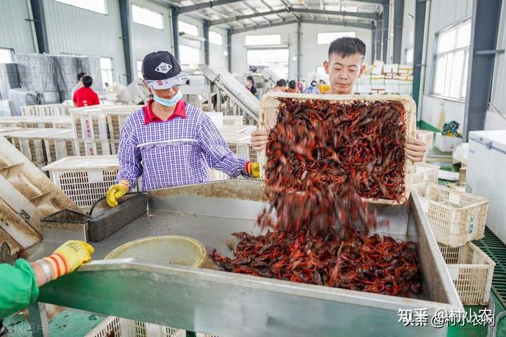 致富养殖各种_致富养殖项目_致富养殖场