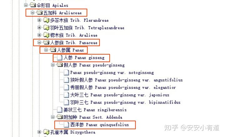 西洋参种植技术条件_西洋种植参美国技术如何_美国西洋参种植技术