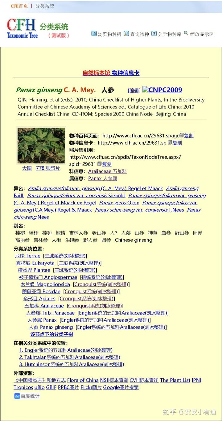 美国西洋参种植技术_西洋参种植技术条件_西洋种植参美国技术如何