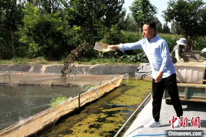 水蛭养殖技术价格_养殖水蛭价格技术规范_养殖水蛭的成本及利润