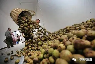 广西农村种植致富_在广西种植什么有前景_广西农村种植什么赚钱不愁销路