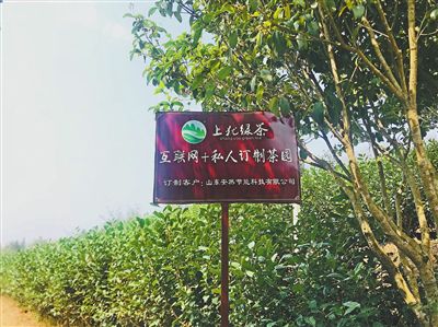 江西遂川租房子_江西遂川种植致富_江西遂川禾源叶茂平父亲