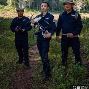 非州红河野猪_红河野猪养殖_红河州野猪致富经