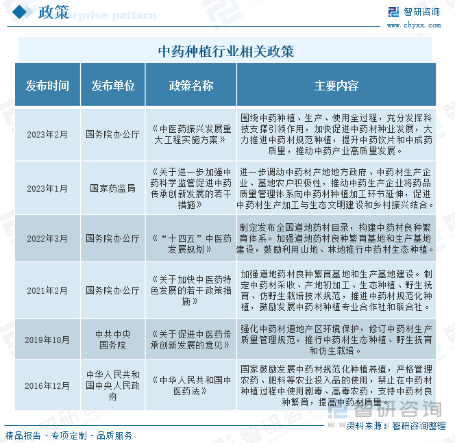 云南白怎么种植技术_种植云南白药图片_云南白种植方法