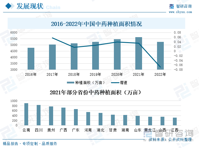 云南白怎么种植技术_种植云南白药图片_云南白种植方法