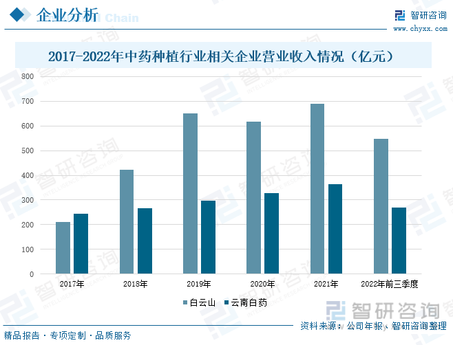 云南白种植方法_种植云南白药图片_云南白怎么种植技术