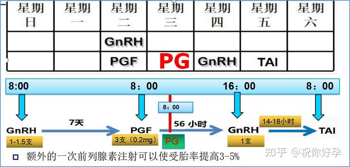 种公牛饲养管理技术规范_种公牛的饲养_种公牛养殖技术