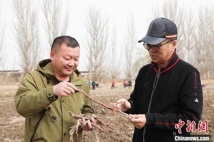 致富经种植_致富宝典表情包_种植致富宝典5