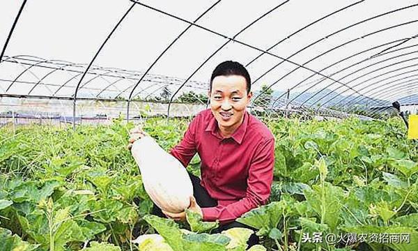 致富宝典种植基地在哪_种植致富宝典5_致富技术宝典汇编