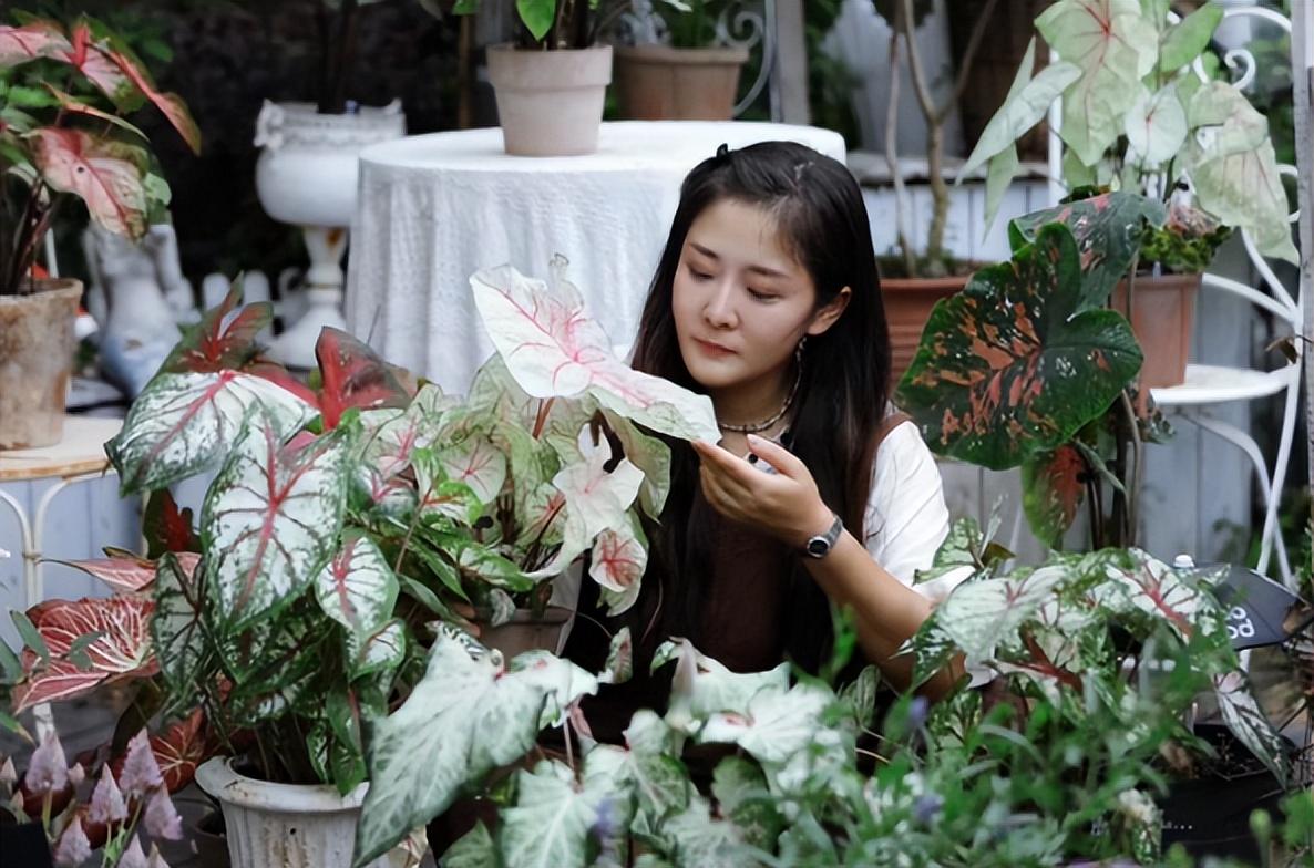 养殖花卉挣钱致富_养花卉赚钱吗_花卉养殖利润有多大