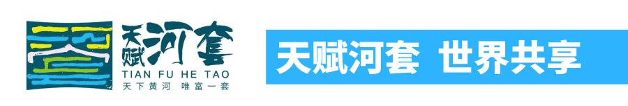 院市科技合作项目“河套灌区葵前麦类饲草种植关键生产技术研究与示范” 现场观摩会召