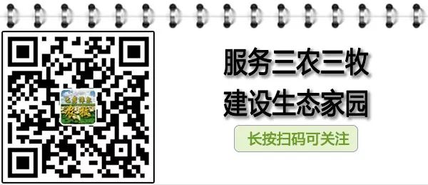 养殖饲草技术规范_饲草养殖技术_饲草种植技术