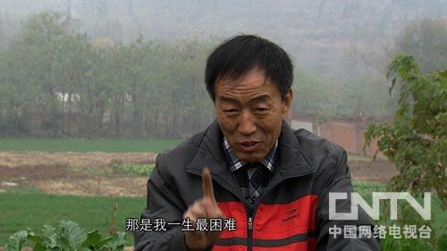 致富经韭黄_韭黄种植效益怎么样_韭黄种植收益